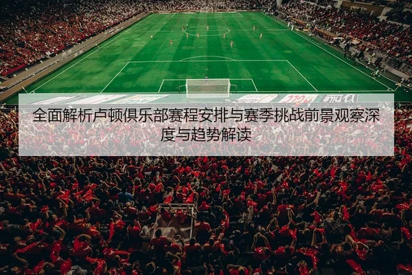 quan-mian-jie-xi-lu-dun-ju-le-bu-sai-cheng-an-pai-yu-sai-ji-tiao-zhan-qian-jing-guan-cha-shen-du-yu-qu-shi-jie-du-3-273.jpg