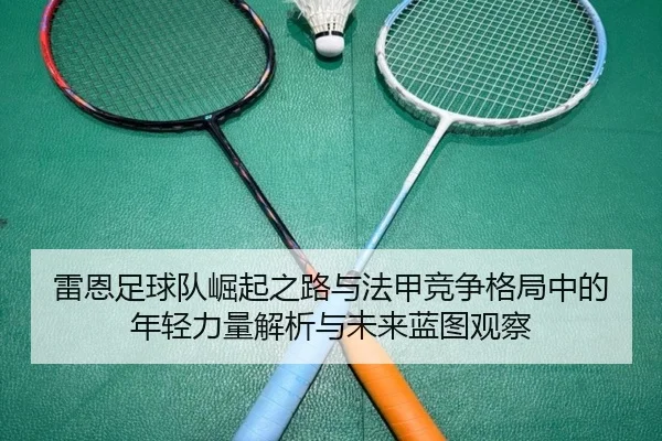 雷恩足球队崛起之路与法甲竞争格局中的年轻力量解析与未来蓝图观察